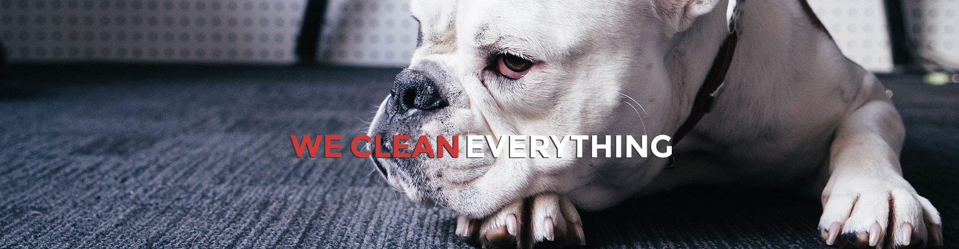 Professional Cleaning Services Professional Cleaning Services