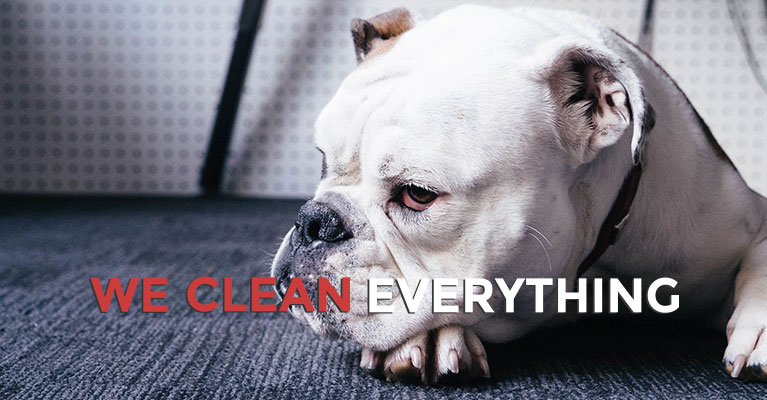 Professional Cleaning Services Professional Cleaning Services